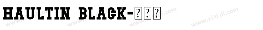 Haultin Black字体转换